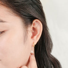 Load image into Gallery viewer, Setzusoko Hoop Earrings